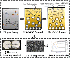 Graphical abstract: Macroscale preparation of nanosized calcium carbonate by exploiting biogas slurry synchronous metathesis encapsulation method