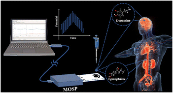 Graphical abstract: A novel strategy for the simultaneous discrimination of dopamine and epinephrine by cyclic square wave voltammetry implemented with a customized potentiostat