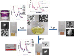 Graphical abstract: A rapid and sensitive colorimetric discrimination and detection of cysteine, homocysteine and glutathione by phloroglucinol-functionalized silver nanoresonators with real applications