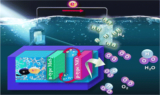 Graphical abstract: Bi-functional role of high charge mobility with 2D/2D interactions for effective PEC and visible photocatalysis in NiO/MoS2 nanocomposites