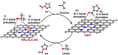 Graphical abstract: Mechanistic insights into the catalytic transfer hydrogenation of furfural to furfuryl alcohol over a N-doped carbon-supported Ni single atom catalyst from first principles