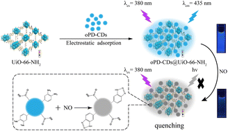 Graphical abstract: An oPD-CD doped zirconium-based metal–organic frame composite fluorescence probe for efficient and selective detection of nitric oxide