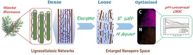 Graphical abstract: Exploiting enzymes to optimize the pH-universal electrocatalytic ORR performance of biomass-based nanoporous carbons