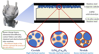 Graphical abstract: The effect of electrochemically active element species on the stability of the layered cathode–sulfide electrolyte interface