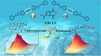 Graphical abstract: Metal-regulated d10 coordination polymers constructed from bis(pyridyl)-bis(amide) ligands with different spacers as high-efficiency fluorescence sensors for identifying chlortetracycline and furaltadone