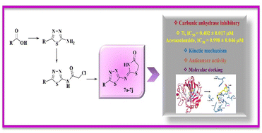 Graphical abstract: Design, synthesis, and in vitro and in silico studies of 1,3,4-thiadiazole-thiazolidinone hybrids as carbonic anhydrase inhibitors