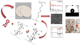 Graphical abstract: ZnO nano grafted chitin–chitosan based hybrid composite coated super hydrophobic filter paper for water flow cleaning and oil–water separation applications