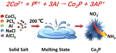 Graphical abstract: Hypotoxic synthesis of Co2P nanodendrites for boosting ammonia electrosynthesis from nitrate