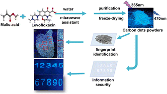 Graphical abstract: One-step synthesis of self-quenching-resistant carbon dot phosphors and their application in fingerprint identification and anti-counterfeiting