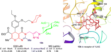 Graphical abstract: Synthesis and inhibitory activity against MurA and MurZ enzymes of 4H-pyrano[2,3-d]pyrimidine–1H-1,2,3-triazole hybrid compounds having piperidine and morpholine rings