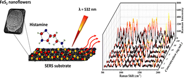 Graphical abstract: FeS2-based aerogel as a flexible low-cost substrate for rapid SERS detection of histamine in biofluids