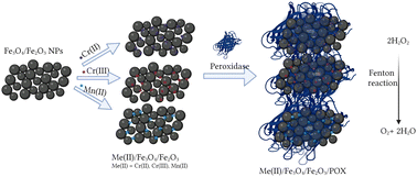 Graphical abstract: Synthesis of Fe3O4/Fe2O3 nanoparticles modified with peroxidase with incorporated chromium and manganese ions