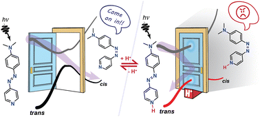 Graphical abstract: The doorstop proton: acid-controlled photoisomerization in pyridine-based azo dyes