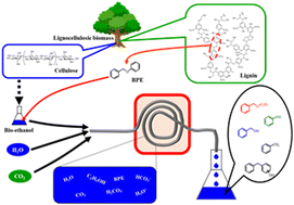 Graphical abstract: Conversion of benzyl phenyl ether to monoaromatics in high-temperature aqueous ethanol solution under high-pressure carbon dioxide conditions