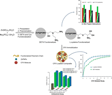 Graphical abstract: Synthesis and functionalization of zinc phosphate@polyglycidyl methacrylate composites for antimicrobial drug immobilization and controlled release: an in vitro study