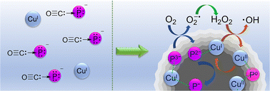 Graphical abstract: Copper phosphide–phosphorus (Cu3P/P) hybrid nanomaterials: an in situ dioxygen activator in ambient aqueous conditions for advanced oxidation process
