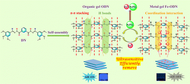 Graphical abstract: A novel acylhydrazone-based self-assembled supramolecular gel for ultrasensitive alternating fluorescence detection of Fe3+ and H2PO4−