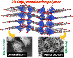 Graphical abstract: A 2D Cu(ii) coordination polymer constructed with 2,5-pyridinedicarboxylic acid linker: synthesis, structural analysis and its selective transformation into Cu and CuO nanoparticles