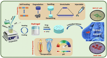 Graphical abstract: A dual responsive ionic liquid-based polymeric hydrogel: a promising drug delivery vehicle for the treatment of breast cancer