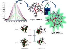 Graphical abstract: A tripodal imine-derived Fe(iii) complex for the fluorescence recognition of Mg(ii) via green emission: crystal structure, photophysical interactions and DFT studies