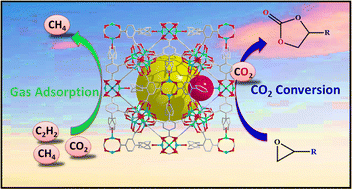 Graphical abstract: Porous Zn-MOF with two diverse cages synthesized using functionalized biphenyl tricarboxylic acid: CO2 selective adsorption and fixation