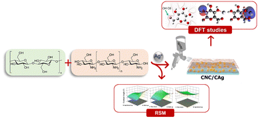 Graphical abstract: Coating based on cellulose from oil palm empty fruit bunches and chitosan doped by Ag+: multivariate optimization and DFT analysis