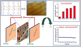 Graphical abstract: Highly durable, perfluorinated Q(PFBE-co-VBC) and PVDF blend anion exchange membranes with interconnected morphological features for electrochemical energy conversion systems
