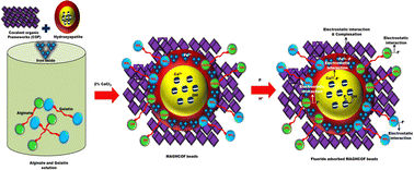 Graphical abstract: Microfabrication of covalent organic framework-based magnetic bio-ceramic beads for defluoridation of water