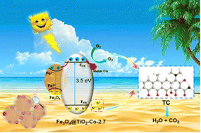 Graphical abstract: Magnetically induced construction of core–shell architecture Fe3O4@TiO2–Co nanocomposites for effective photocatalytic degradation of tetracycline