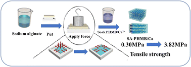 Graphical abstract: Preparation and application of sodium alginate/PHMB/Ca2+ high-strength and high-antibacterial hydrogel