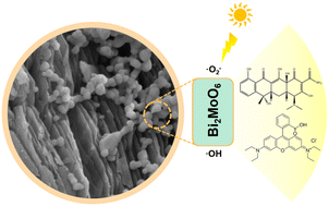 Graphical abstract: New construction method of Bi2MoO6/kaolinite with efficient visible photocatalytic activity