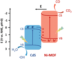 Graphical abstract: Synthesis of a highly active core–shell Ni-MOF@CdS S-scheme heterojunction for enhanced photoreduction of CO2 to CO