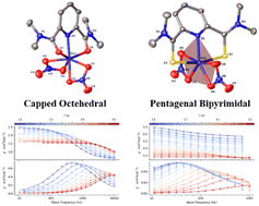 Graphical abstract: Structures and magnetic anisotropies of two seven-coordinate Co(ii)–nitrate complexes showing slow magnetic relaxation