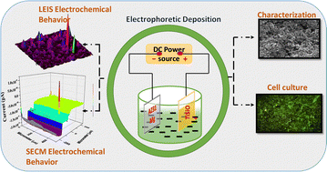 Graphical abstract: Electrochemical evaluation of AZ31 Mg alloy in corrosion protection of titanium silicon oxide from Earle's solution