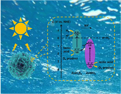 Graphical abstract: Boosting the photocatalytic activity of ZnIn2S4-based photocatalyst for H2 evolution using porous ZnWO4 nanoflakelets as a cocatalyst
