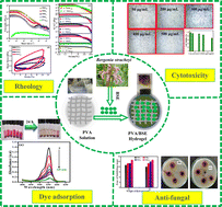 Graphical abstract: A composite polyvinyl alcohol–medicinal plant extract crosslinked hydrogel: a novel soft system with excellent rhodamine B adsorption and significant antifungal activity