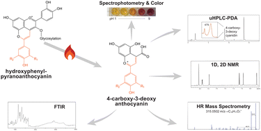 Graphical abstract: Structure elucidation of 4-carboxy-3-deoxyanthocyanidins formed from thermal degradation of hydroxyphenyl-pyranoanthocyanins