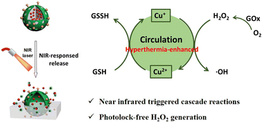 Graphical abstract: Near infrared triggered cascade reactions for photothermal/chemodynamic synergistic therapy