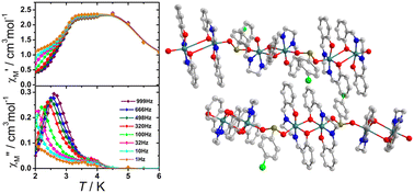 Graphical abstract: Single chain magnetic behaviour in a selenite-bridged out-of-plane Mn2O2 dimer motif