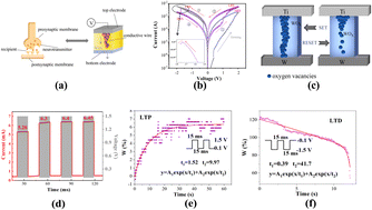 Graphical abstract: Coexistence mechanisms of negative differential resistance and resistive switching effects in a WOx-based memristor