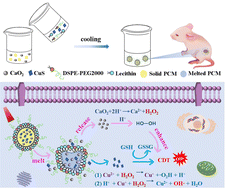 Graphical abstract: A phase change material packaged multifunctional nanoplatform integrating hydrogen peroxide self-supply and photothermal response for boosting synergistic chemodynamic and photothermal therapy