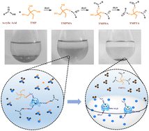 Graphical abstract: Sulfonated phenylamine ionic liquids as efficient phase-separation catalysts for the synthesis of trimethylolpropane triacrylate