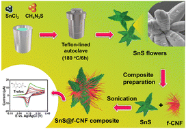 Graphical abstract: Fabrication of tin sulfide@functionalized carbon nanofiber composites for the electrochemical detection of the oxidative stress biomarker trolox