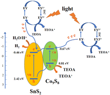 Graphical abstract: Amorphous bimetallic sulfide Co9S8/SnS2 used as a p–n heterojunction to achieve photocatalytic hydrogen evolution