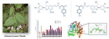 Graphical abstract: Stereochemical investigations of bioactive dihydrobenzofuran-type lignanamides from Solanum lyratum: chiral resolution, in vitro and in silico profiling