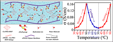 Graphical abstract: Special tailoring of a copper–pyromellitic acid complex with sulfonated poly(ether ether ketone) to form a composite membrane for polymer electrolyte fuel cells