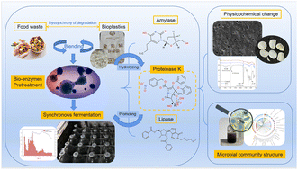 Graphical abstract: Enzyme pretreatments for anaerobic co-digestion of food waste blended with bioplastics: effects on methane production and microbial community structure