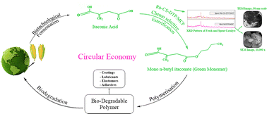 Graphical abstract: Highly selective esterification of bioderived itaconic acid to monobutyl itaconate: kinetic analysis of a reusable 20% (w/w) Rb0.5Cs2.0H0.5PW12O40/MCF catalyst system