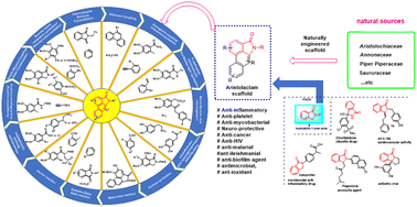 Graphical abstract: The isolation-biological activities (2014–2022), bio, semi, total synthesis (1978–2022) and SAR studies of a potential naturally engineered scaffold aristolactam