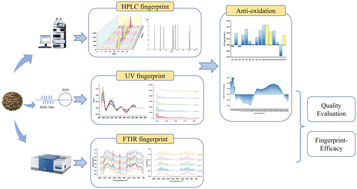 Graphical abstract: Comprehensively evaluating the quality consistency of Forsythia suspensa by five-wavelength mean fusion fingerprint profiling combined with spectrum quantum fingerprint and antioxidant activity